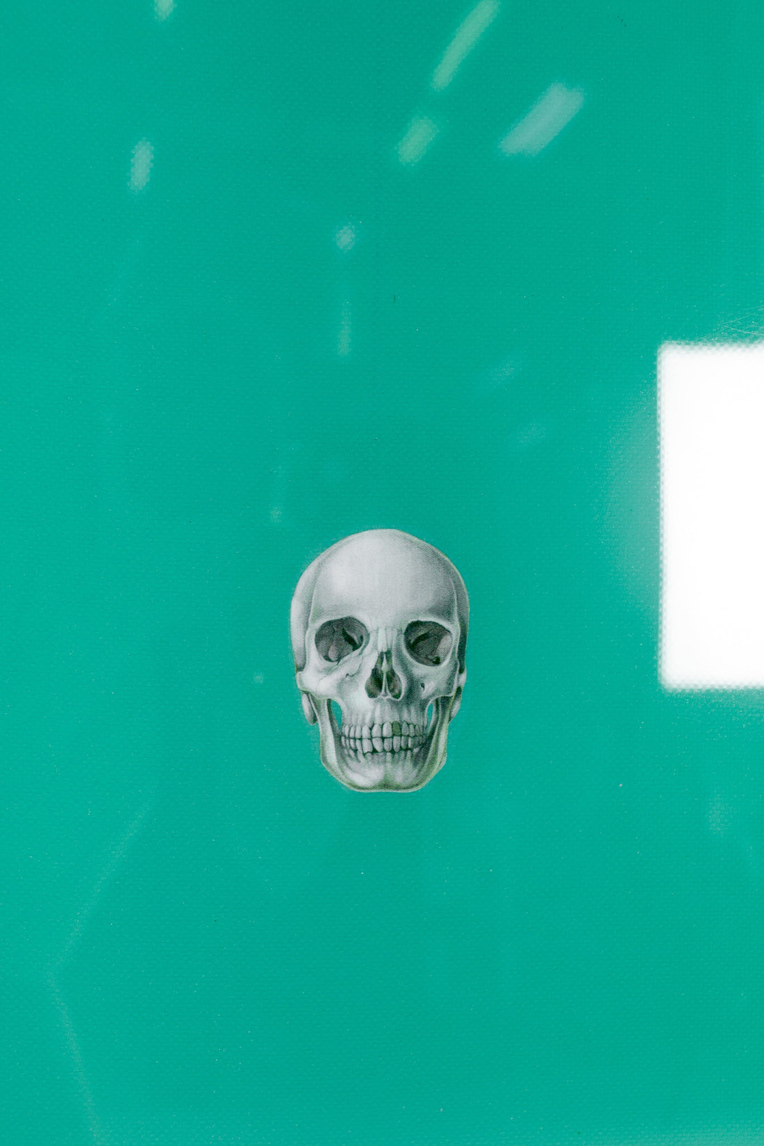 Pukas Surf Shop - Christenson Surfboards - CHRIS FISH - 5'4" x 20 3/4 x 2 3/8 - CX03266